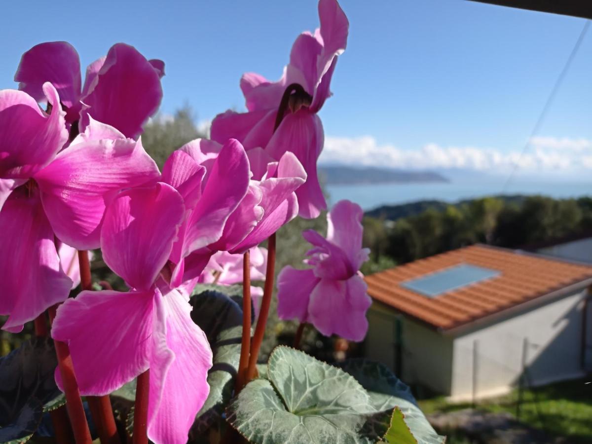 Le Vigne Di Lenf Apartment Porto Venere Exterior foto