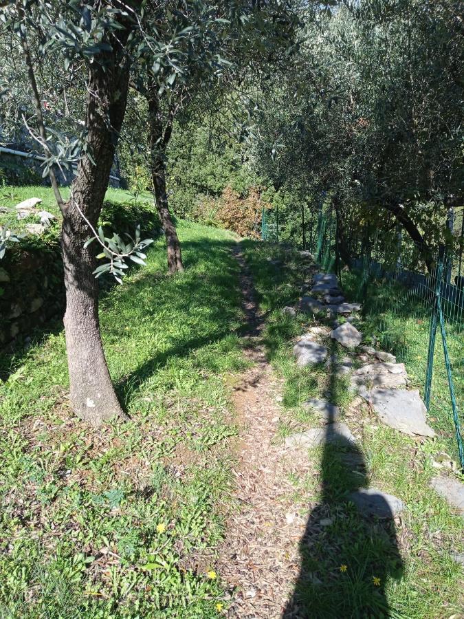 Le Vigne Di Lenf Apartment Porto Venere Exterior foto